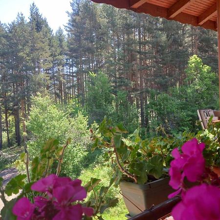 Райчевата Къща - Кюстендил Kültér fotó